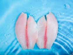 Deep skinned tilapia fillet,PBO,NON CO treated